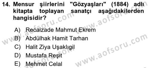 2. Abdülhamit Dönemi Türk Edebiyatı Dersi 2023 - 2024 Yılı Yaz Okulu Sınavı 14. Soru