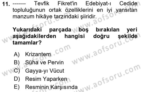 2. Abdülhamit Dönemi Türk Edebiyatı Dersi 2024 - 2025 Yılı (Vize) Ara Sınav Soruları 11. Soru