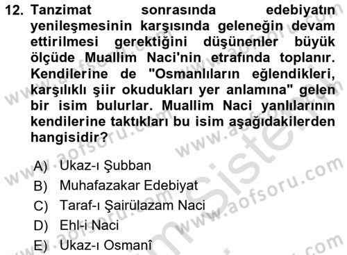 2. Abdülhamit Dönemi Türk Edebiyatı Dersi 2024 - 2025 Yılı (Vize) Ara Sınav Soruları 12. Soru