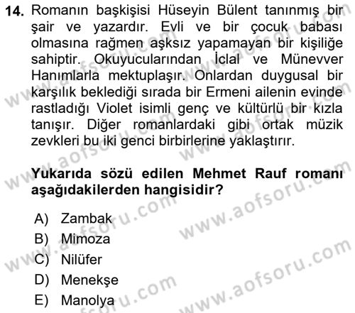 2. Abdülhamit Dönemi Türk Edebiyatı Dersi 2024 - 2025 Yılı (Vize) Ara Sınav Soruları 14. Soru