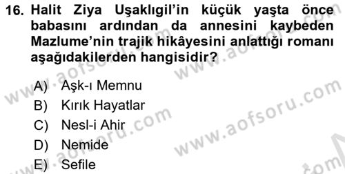 2. Abdülhamit Dönemi Türk Edebiyatı Dersi 2024 - 2025 Yılı (Vize) Ara Sınav Soruları 16. Soru