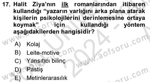 2. Abdülhamit Dönemi Türk Edebiyatı Dersi 2024 - 2025 Yılı (Vize) Ara Sınav Soruları 17. Soru