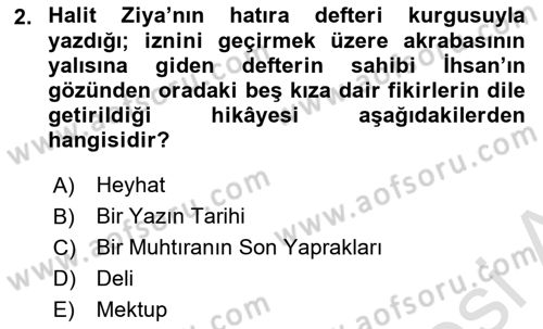 2. Abdülhamit Dönemi Türk Edebiyatı Dersi 2024 - 2025 Yılı (Vize) Ara Sınav Soruları 2. Soru