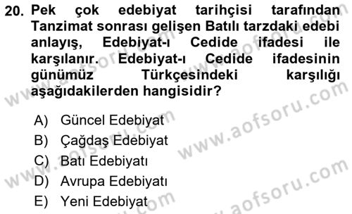 2. Abdülhamit Dönemi Türk Edebiyatı Dersi 2024 - 2025 Yılı (Vize) Ara Sınav Soruları 20. Soru