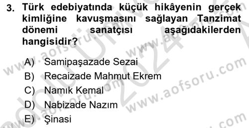 2. Abdülhamit Dönemi Türk Edebiyatı Dersi 2024 - 2025 Yılı (Vize) Ara Sınav Soruları 3. Soru
