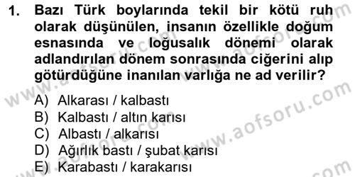 Türk Edebiyatının Mitolojik Kaynakları Dersi 2012 - 2013 Yılı (Final) Dönem Sonu Sınav Soruları 1. Soru