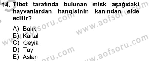 Türk Edebiyatının Mitolojik Kaynakları Dersi 2012 - 2013 Yılı (Final) Dönem Sonu Sınav Soruları 14. Soru