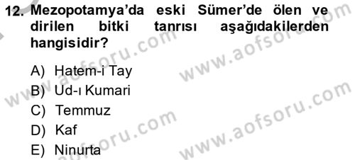 Türk Edebiyatının Mitolojik Kaynakları Dersi 2013 - 2014 Yılı (Final) Dönem Sonu Sınav Soruları 12. Soru