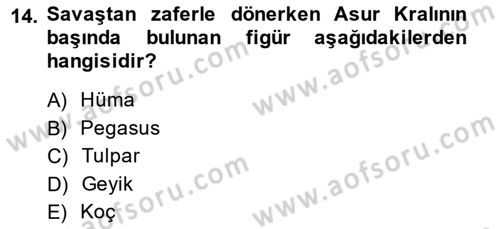 Türk Edebiyatının Mitolojik Kaynakları Dersi 2013 - 2014 Yılı (Final) Dönem Sonu Sınav Soruları 14. Soru