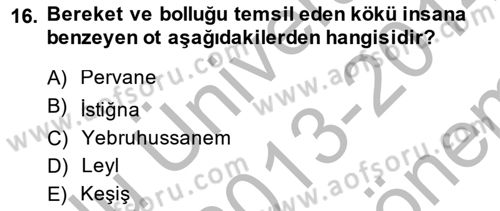Türk Edebiyatının Mitolojik Kaynakları Dersi 2013 - 2014 Yılı (Final) Dönem Sonu Sınav Soruları 16. Soru