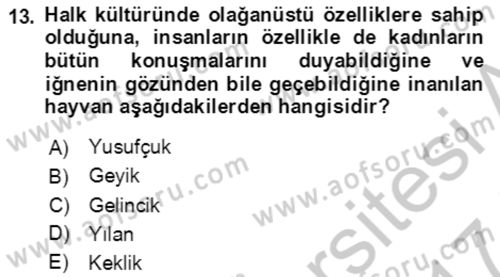 Türk Edebiyatının Mitolojik Kaynakları Dersi 2016 - 2017 Yılı (Vize) Ara Sınav Soruları 13. Soru