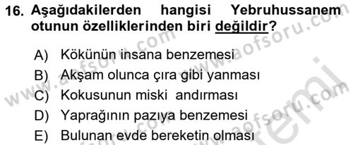 Türk Edebiyatının Mitolojik Kaynakları Dersi 2016 - 2017 Yılı (Final) Dönem Sonu Sınav Soruları 16. Soru