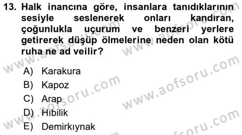Türk Edebiyatının Mitolojik Kaynakları Dersi 2017 - 2018 Yılı (Vize) Ara Sınav Soruları 13. Soru
