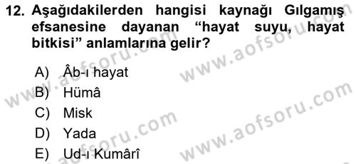 Türk Edebiyatının Mitolojik Kaynakları Dersi 2017 - 2018 Yılı (Final) Dönem Sonu Sınav Soruları 12. Soru