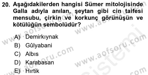 Türk Edebiyatının Mitolojik Kaynakları Dersi 2017 - 2018 Yılı (Final) Dönem Sonu Sınav Soruları 20. Soru