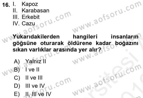 Türk Edebiyatının Mitolojik Kaynakları Dersi 2018 - 2019 Yılı (Vize) Ara Sınav Soruları 16. Soru