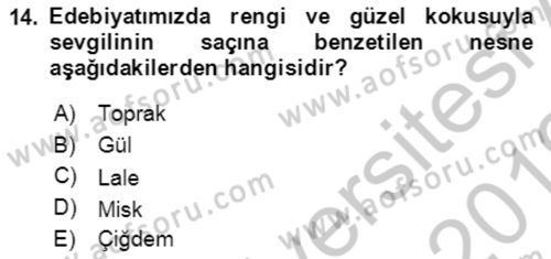 Türk Edebiyatının Mitolojik Kaynakları Dersi 2018 - 2019 Yılı Yaz Okulu Sınav Soruları 14. Soru