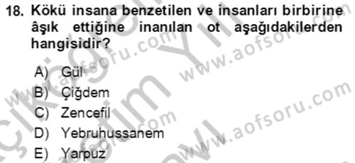 Türk Edebiyatının Mitolojik Kaynakları Dersi 2018 - 2019 Yılı Yaz Okulu Sınav Soruları 18. Soru