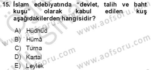 Türk Edebiyatının Mitolojik Kaynakları Dersi 2020 - 2021 Yılı Yaz Okulu Sınav Soruları 15. Soru