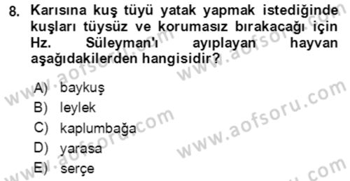Türk Edebiyatının Mitolojik Kaynakları Dersi 2020 - 2021 Yılı Yaz Okulu Sınav Soruları 8. Soru