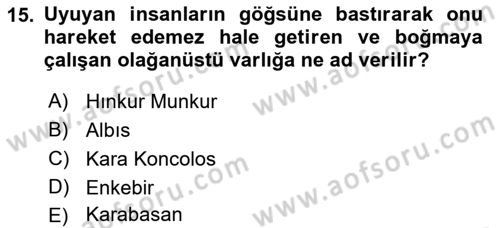 Türk Edebiyatının Mitolojik Kaynakları Dersi 2021 - 2022 Yılı (Vize) Ara Sınav Soruları 15. Soru