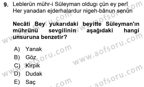 Türk Edebiyatının Mitolojik Kaynakları Dersi 2021 - 2022 Yılı (Final) Dönem Sonu Sınav Soruları 9. Soru