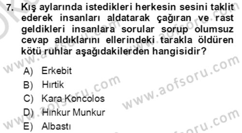 Türk Edebiyatının Mitolojik Kaynakları Dersi 2021 - 2022 Yılı Yaz Okulu Sınav Soruları 7. Soru