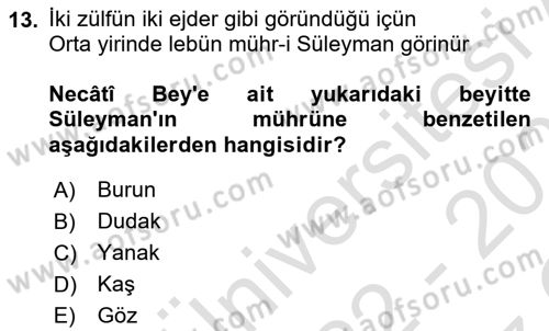 Türk Edebiyatının Mitolojik Kaynakları Dersi 2022 - 2023 Yılı Yaz Okulu Sınav Soruları 13. Soru