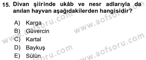 Türk Edebiyatının Mitolojik Kaynakları Dersi 2022 - 2023 Yılı Yaz Okulu Sınav Soruları 15. Soru
