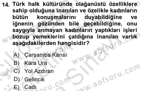 Türk Edebiyatının Mitolojik Kaynakları Dersi 2023 - 2024 Yılı (Vize) Ara Sınav Soruları 14. Soru