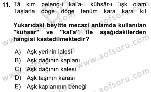 Türk Edebiyatının Mitolojik Kaynakları Dersi 2023 - 2024 Yılı (Final) Dönem Sonu Sınav Soruları 11. Soru