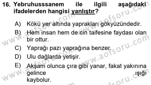 Türk Edebiyatının Mitolojik Kaynakları Dersi 2023 - 2024 Yılı (Final) Dönem Sonu Sınav Soruları 16. Soru