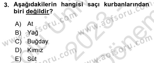 Türk Edebiyatının Mitolojik Kaynakları Dersi 2023 - 2024 Yılı (Final) Dönem Sonu Sınav Soruları 3. Soru
