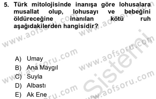 Türk Edebiyatının Mitolojik Kaynakları Dersi 2023 - 2024 Yılı Yaz Okulu Sınav Soruları 5. Soru