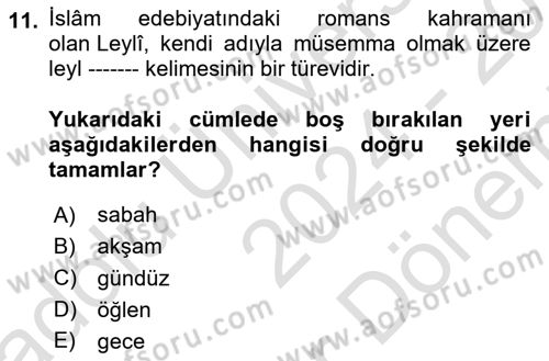 Türk Edebiyatının Mitolojik Kaynakları Dersi 2024 - 2025 Yılı (Final) Dönem Sonu Sınav Soruları 11. Soru
