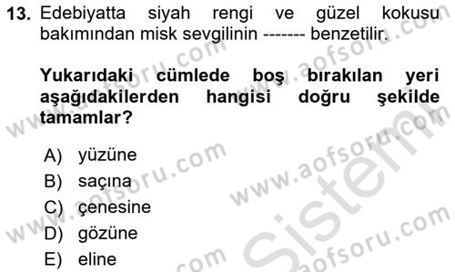 Türk Edebiyatının Mitolojik Kaynakları Dersi 2024 - 2025 Yılı (Final) Dönem Sonu Sınav Soruları 13. Soru