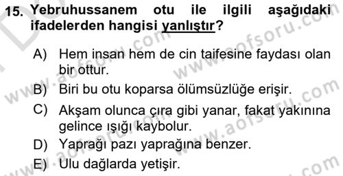 Türk Edebiyatının Mitolojik Kaynakları Dersi 2024 - 2025 Yılı (Final) Dönem Sonu Sınav Soruları 15. Soru