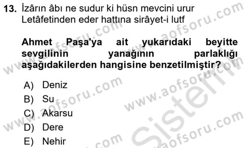 Türk Edebiyatının Mitolojik Kaynakları Dersi 2024 - 2025 Yılı Yaz Okulu Sınav Soruları 13. Soru