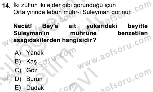 Türk Edebiyatının Mitolojik Kaynakları Dersi 2024 - 2025 Yılı Yaz Okulu Sınav Soruları 14. Soru