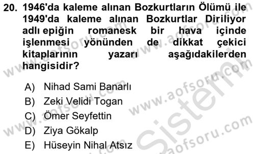 Türk Edebiyatının Mitolojik Kaynakları Dersi 2024 - 2025 Yılı Yaz Okulu Sınav Soruları 20. Soru