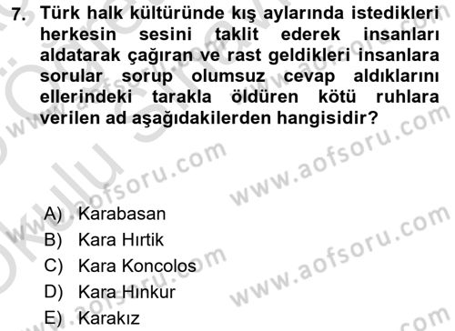 Türk Edebiyatının Mitolojik Kaynakları Dersi 2024 - 2025 Yılı Yaz Okulu Sınav Soruları 7. Soru