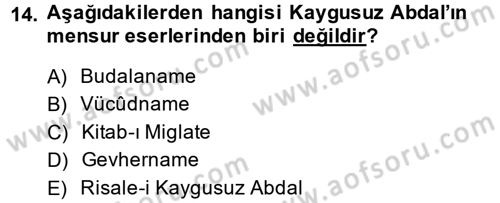 Türk Halk Şiiri Dersi 2013 - 2014 Yılı Tek Ders Sınav Soruları 14. Soru