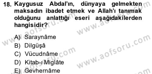 Türk Halk Şiiri Dersi 2014 - 2015 Yılı (Vize) Ara Sınav Soruları 18. Soru