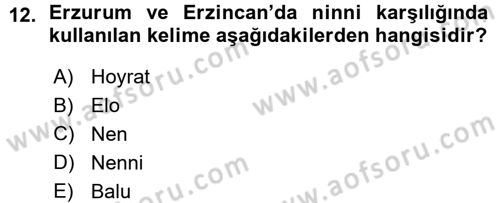 Türk Halk Şiiri Dersi Ara Sınavı Deneme Sınav Soruları 12. Soru