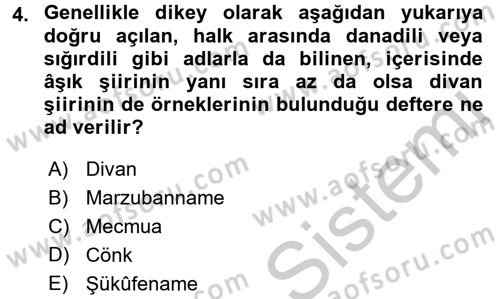 Türk Halk Şiiri Dersi 2016 - 2017 Yılı 3 Ders Sınav Soruları 4. Soru