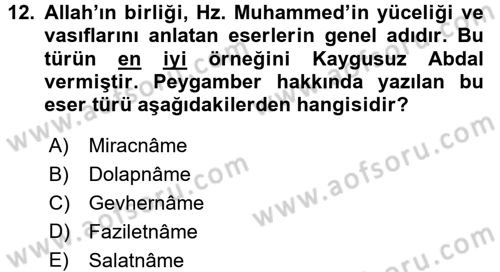 Türk Halk Şiiri Dersi Ara Sınavı Deneme Sınav Soruları 12. Soru