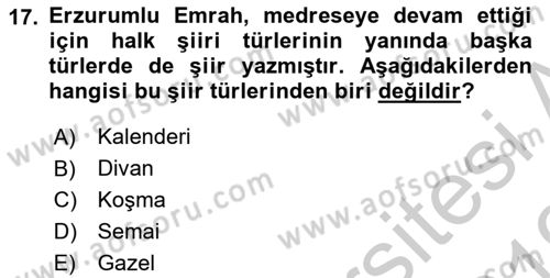 Türk Halk Şiiri Dersi 2018 - 2019 Yılı Yaz Okulu Sınav Soruları 17. Soru