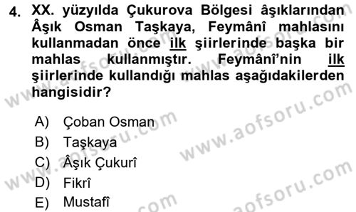 Türk Halk Şiiri Dersi 2018 - 2019 Yılı Yaz Okulu Sınav Soruları 4. Soru
