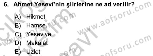Türk Halk Şiiri Dersi 2018 - 2019 Yılı Yaz Okulu Sınav Soruları 6. Soru