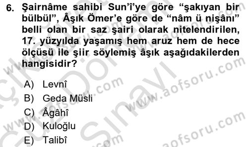 Türk Halk Şiiri Dersi 2019 - 2020 Yılı (Final) Dönem Sonu Sınav Soruları 6. Soru
